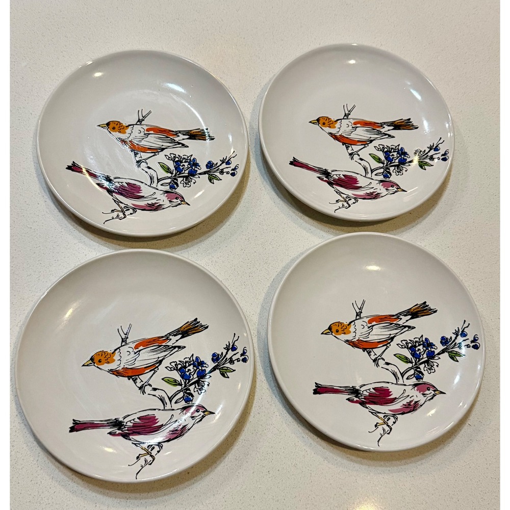 Signature Housewares Room Creative Color Sketch Birds Stoneware‎ Plates Set of 4